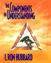 The Components of Understanding Booklet